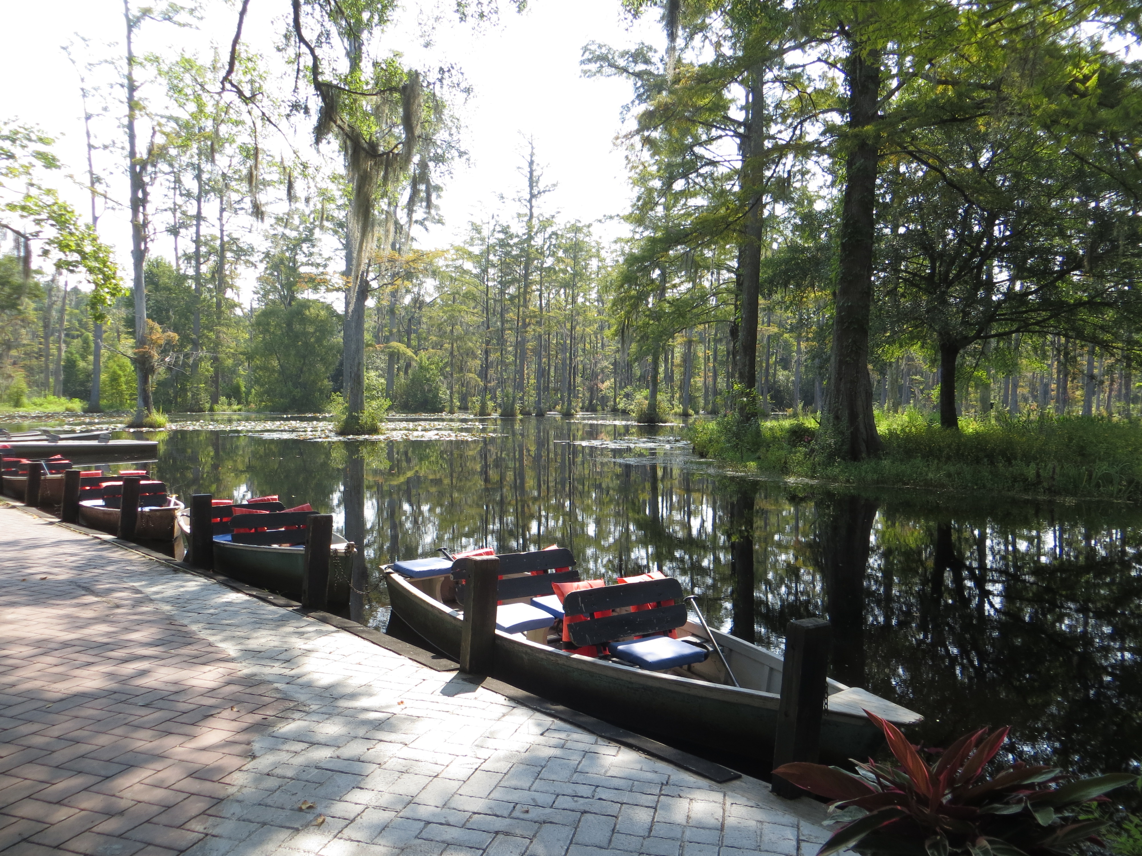 Cypress Gardens Plenty To See And Do Things To Do In Charleston