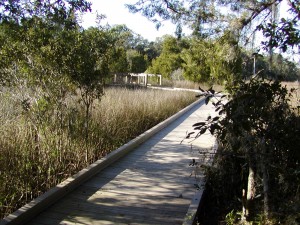 Charles Pinckney National Historic Site boardwalk