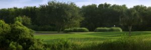 Patriots Point Links - Charleston Golf Courses