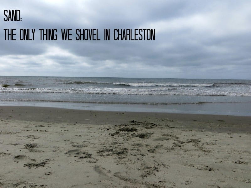 Sand_only thing we shovel in Charleston