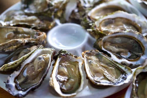 oysters best restaurants in charleston sc