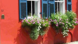 Window Flower Boxes - Charleston