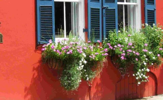 Window Flower Boxes - Charleston