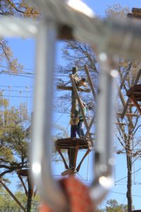 Wild Blue Ropes