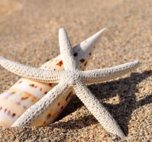 seastar