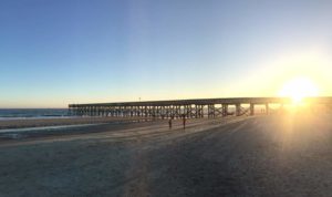 Isle of palms sc - charleston sc beaches