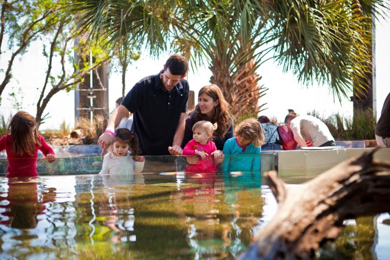 South Carolina Aquarium