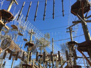 Wild Blue Ropes