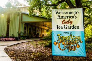 Charleston Tea Planation