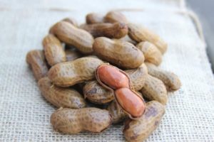Boiled Peanuts - Charleston SC