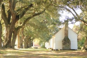 Slave cabins at McLeod Plantation