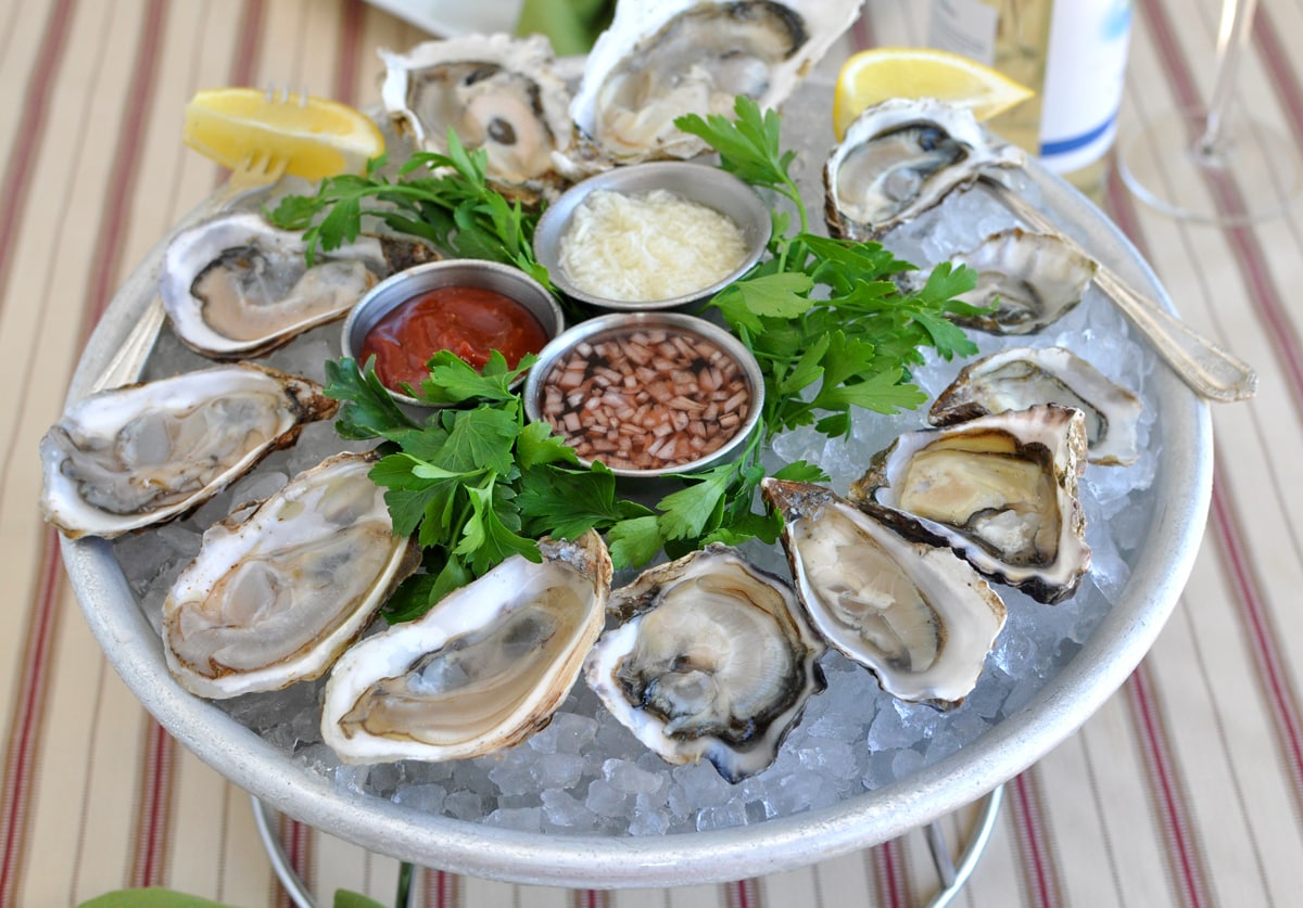 Oysters Are a Charleston Delicacy Things to Do in Charleston SC