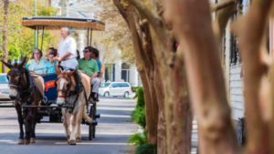 Carriage tour in charleston, sc