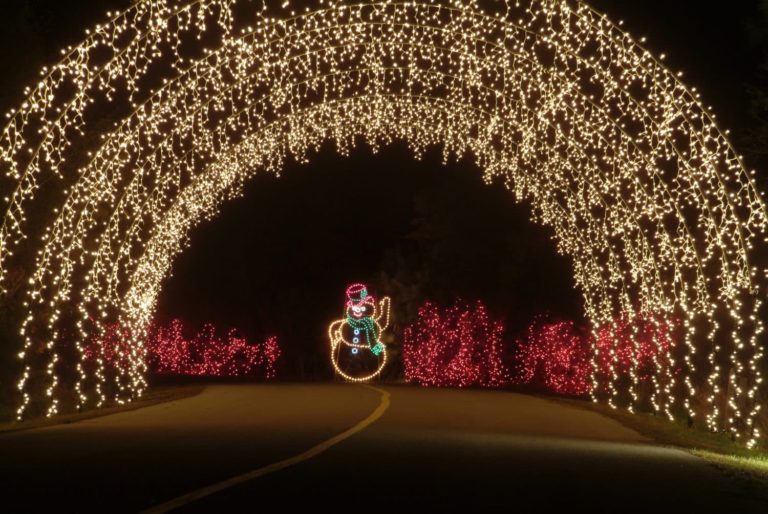 Holiday Festival of Lights_credit Charleston County Parks (2)