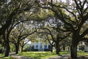 McLeod Plantation - Charleston SC