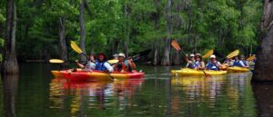 Nature Adventures kayaking