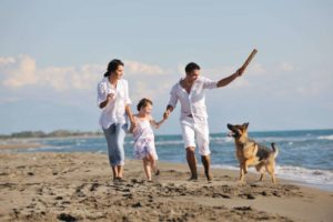 Pet-friendly places in Charleston, SC