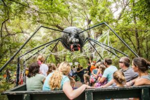 Boone Hall Pumpkin Patch