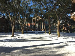 A rare snowfall in 2018 covered the Cistern Yard_photo by Bailey Laskowski