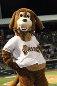 Charlie the RiverDog