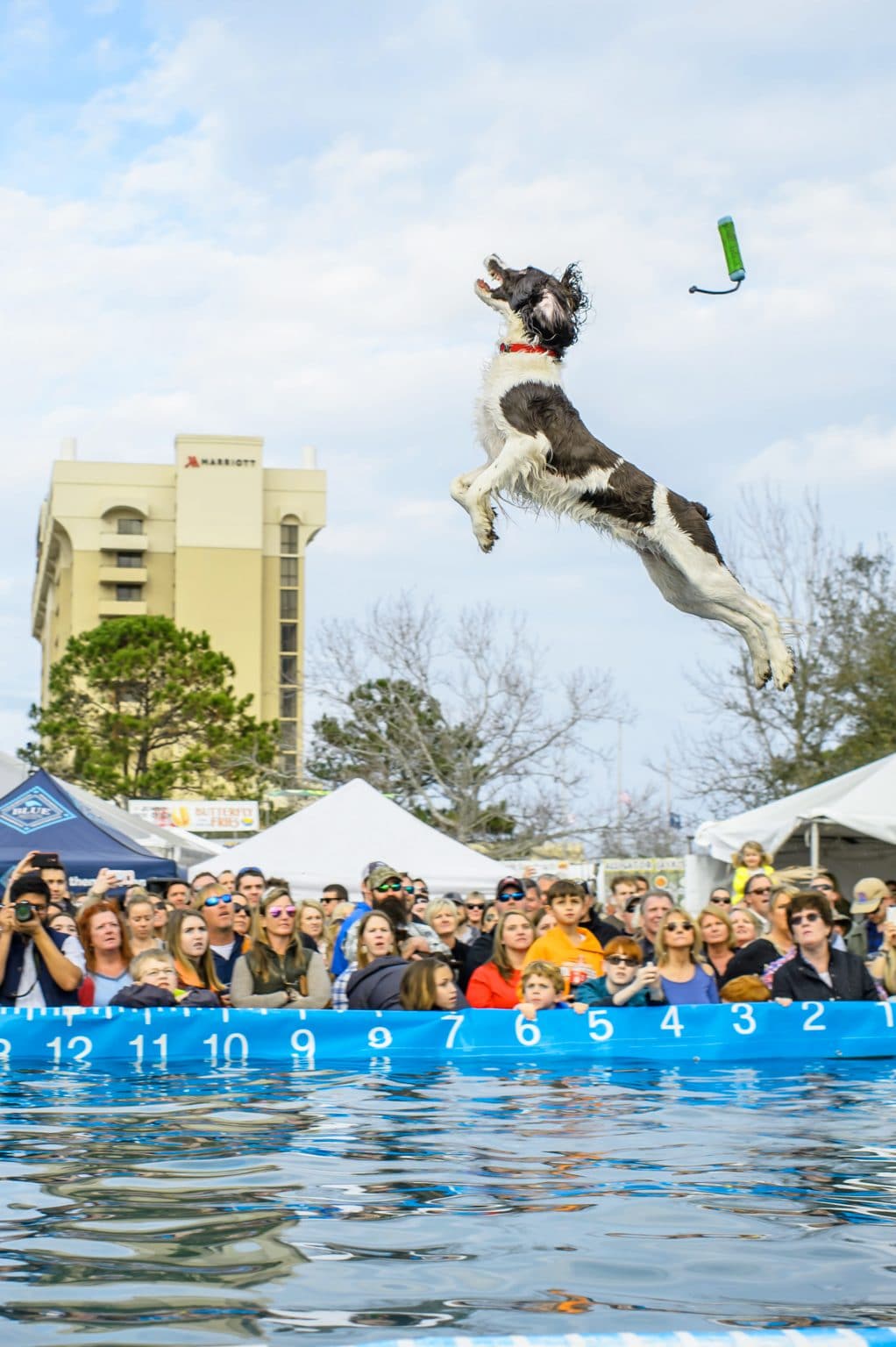 February Things To Do In Charleston, SC Things to Do in Charleston