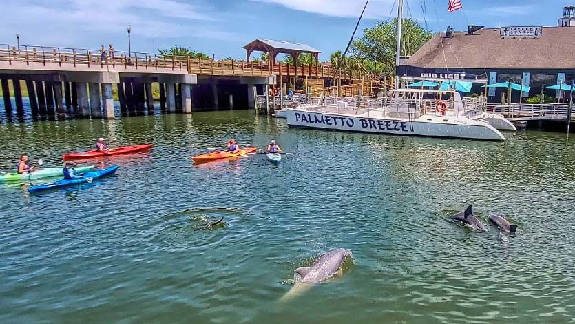 charleston sc kayak tours
