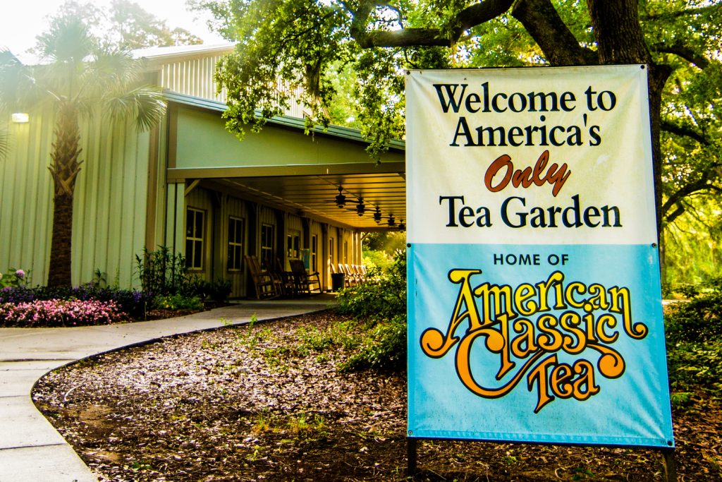 Charleston Tea Garden Things to Do in Charleston SC Visitor Info