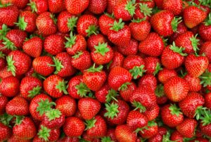 The Lowcountry Strawberry Festival at Boone Hall @ Boone Hall Plantation | Mount Pleasant | South Carolina | United States
