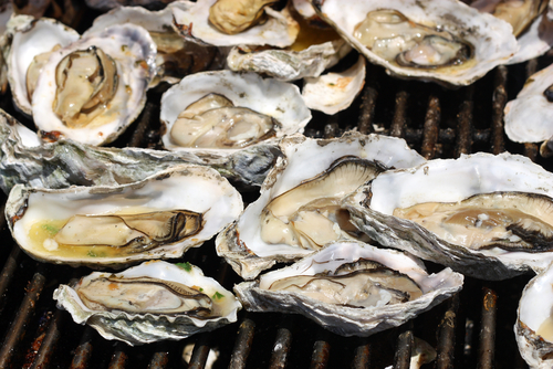 Firefly Distillery Annual Oyster Roast Series