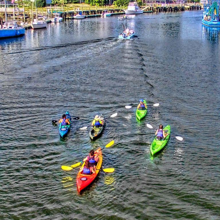 kayak and sup tours in charleston