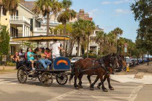 Palmetto Carriage