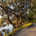 magnolia plantation & gardens