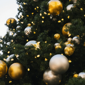 Light the Tree at American Gardens