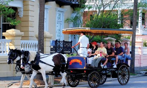charleston sc coupons